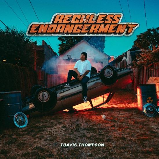 Reckless Endangerment artwork